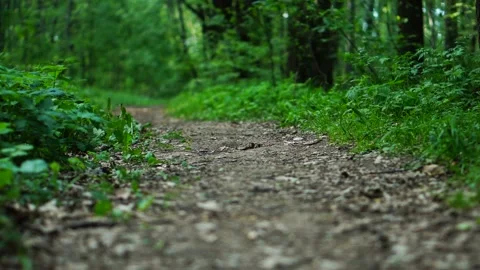 A path road Stock-Footage 108348274