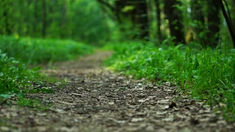 A path road Stock-Footage 108348287