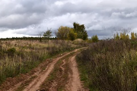 Path Road Way On Cloudy Day In Autumn Field Foto stock
