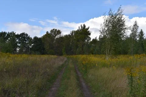 Path Road Way On Cloudy Day Foto stock