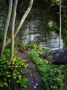 Path in the rock gorge Stock Photos