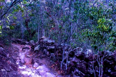 Path of rock Stock Photos