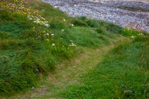 A path to a rockey beach Stock Photos