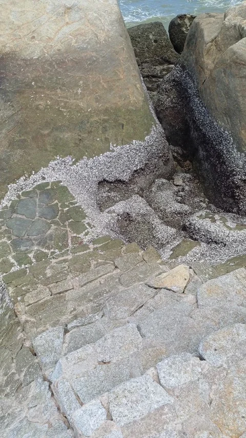 Path on the rocks Stock Footage 276834917