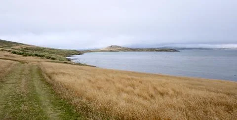 Path in rough and windy grass landscape on island, Falkland Islands Stock Photos