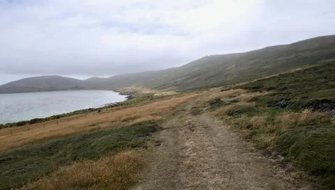 Path in rough and windy grass landscape on island, Falkland Islands Stock Photos
