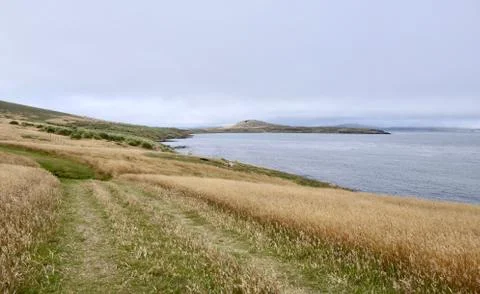 Path in rough and windy grass landscape on island, Falkland Islands Stock Photos