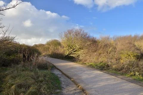 A path for runners among low bushes and dry bushes. Foto stock