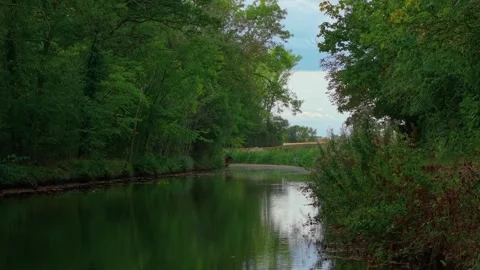 Path running along riverbank with dense forest reflecting in calm water. Water Stock Footage 318899955