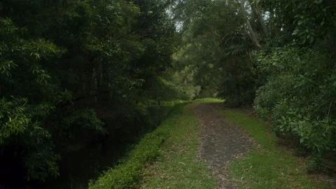 Path running up the side of a creek 4K Stock Footage 168394584