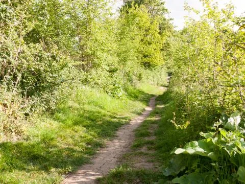 A path running through some bushes outside in the country on a bright and s.. Stock Photos