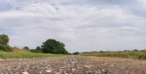 Path in rural landscape passing through fields with distant trees Фото