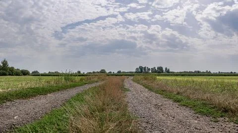 Path in rural landscape passing through fields with distant trees Foto stock