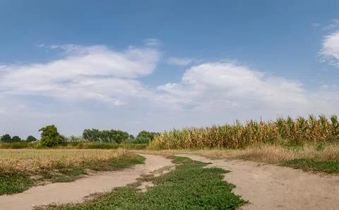 Path in rural landscape passing through fields with distant trees Foto stock