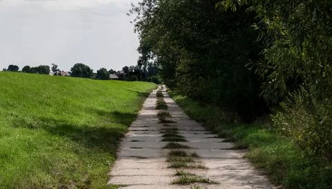 Path in rural landscape passing through forest areas with distant trees Foto stock