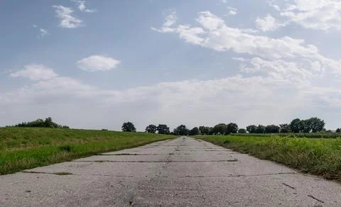 Path in rural landscape passing through fields with distant trees Фото