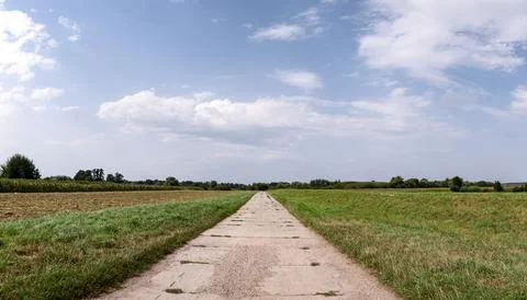 Path in rural landscape passing through fields with distant trees Foto stock