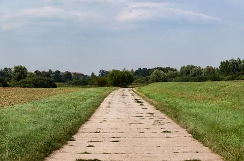 Path in rural landscape passing through fields with distant trees Фото
