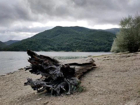 The path of saint jacob to spain, a large fallen tree on the shore Stock Photos