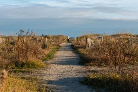 Path to Sand Beach Stock Photos