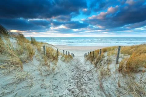 Path on sand to beach at sunset Stock Photos