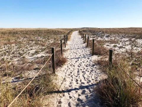 Path on Sand Stock Photos