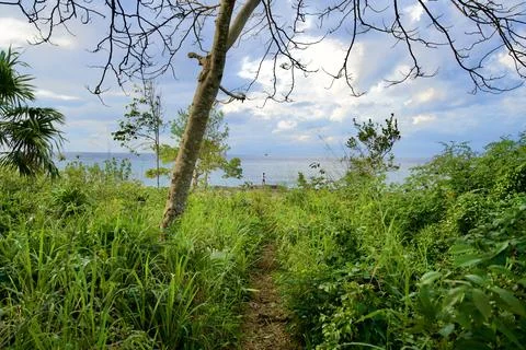 Path To The Sea Stock Photos