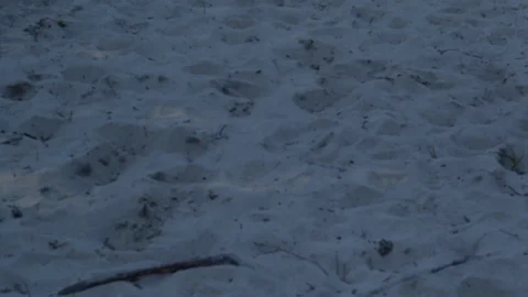 Path from the sea sand Video stock 85013003