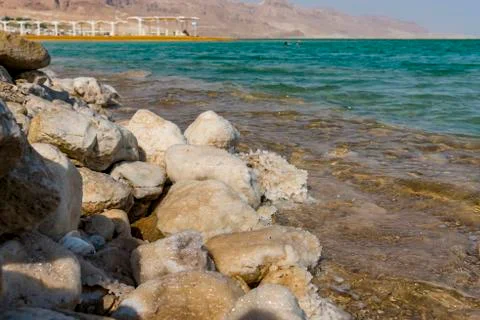 Path to the sea under a canopy Dead Sea Stock Photos