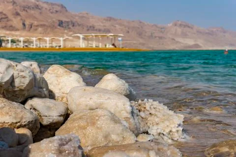Path to the sea under a canopy Dead Sea Stock Photos