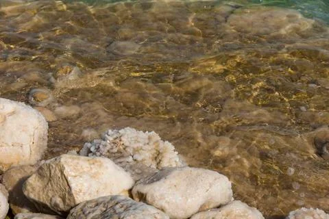 Path to the sea under a canopy Dead Sea Stock Photos