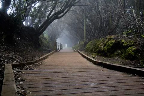 Path of the senses in Anaga. Stock Photos