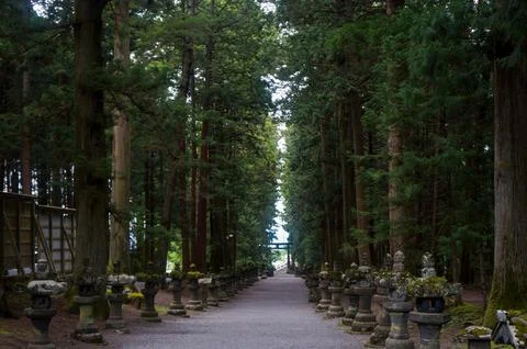 Path of Serenity Stock Photos