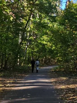 Path in the shade in the green forest Stock Photos