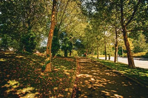 Path in the shade Stock Photos