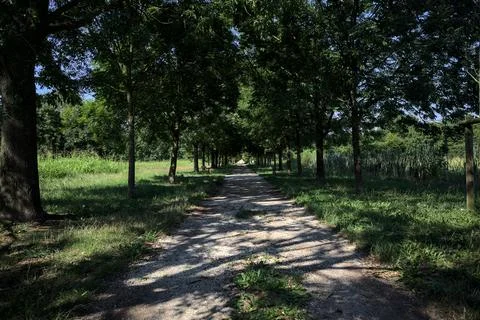Path in the shade Stock Photos