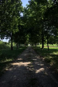 Path in the shade Stock Photos