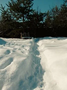 A path shoveled through deep snow drifts in a backyard with a wooden bench un Stock Photos