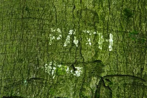 Path sign painted on a tree trunk Stock Photos