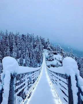 Path from a snow bridge to the forest Fotos de archivo