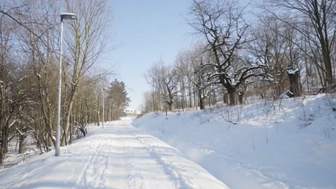 A path in a snow-covered park in winter Vídeo Stock 164982244