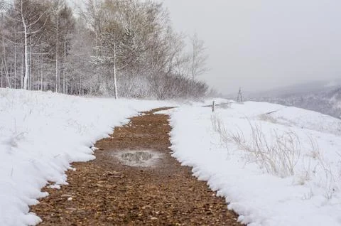 Path in a snow-covered spring forest. anomalous spring. snow in May Stock Photos