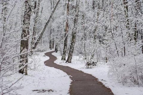 Path in a snow-covered spring forest. anomalous spring. snow in May Stock Photos