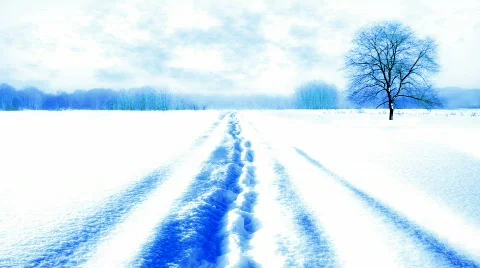 Path in the snow Stock Footage 587317