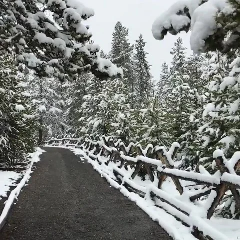 Path in snow Stock Footage 160072248