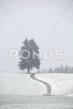 Path on snow hills during snowstorm Stock Photos