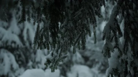 Path on the Snowy Bridge Mountain Trees 4K Stock Footage 59774940