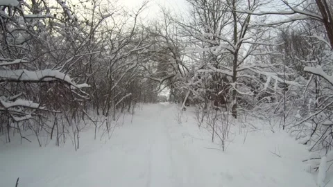 Path in the snowy forest Stock Footage 167411032