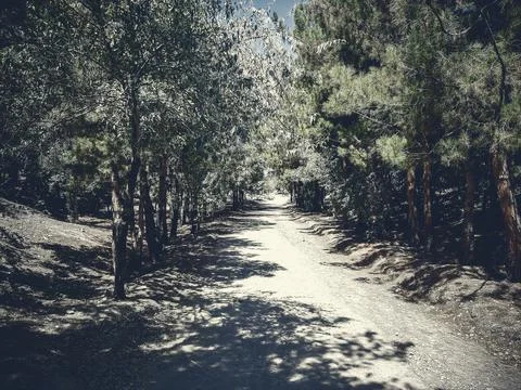 Path in The Soffeh Mount 스톡 사진