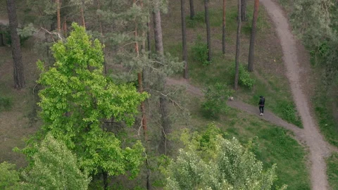 Path. Split paths in the park. Stock Footage 131129416